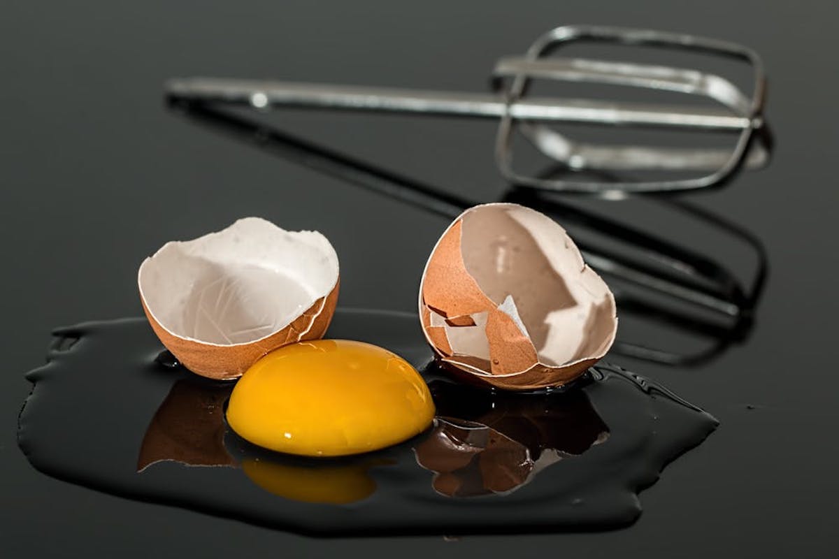 Egg with shell and egg yolk - Eggscellent